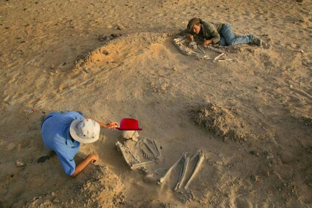 Paleontologists unearth rare Funkasaurus bones in clay