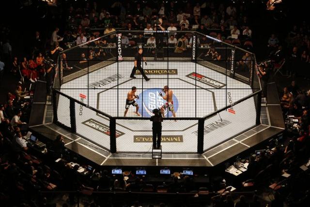 UFC rips off WWE with roofed “Hell in an Octagon”