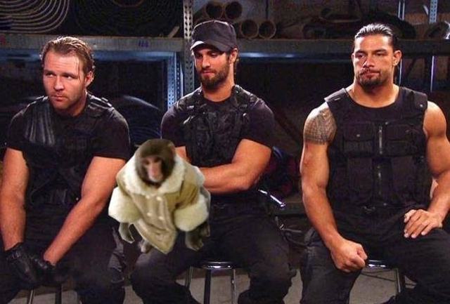 Ikea Monkey rumored to be fourth member of The Shield