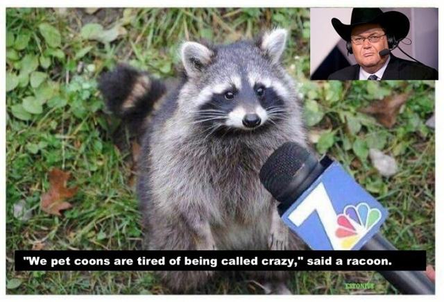 Pet coons sue Jim Ross for “slanderous characterization” of their mental health