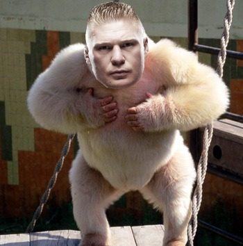 Lesnar hurls feces at Triple H from treetops