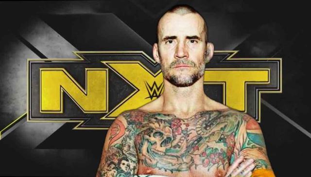 Punk demoted to NXT
