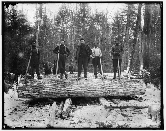 Actual lumberjack match results in logging delay