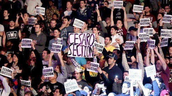 Cesaro Section also Single Adult Males section