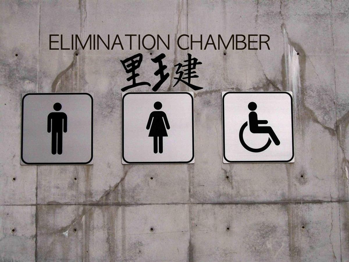 Study reveals Elimination Chamber means “toilet” in many cultures