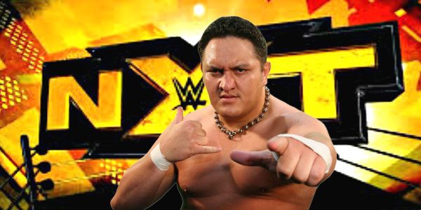 Samoan wrestler inexplicably not related to Rock