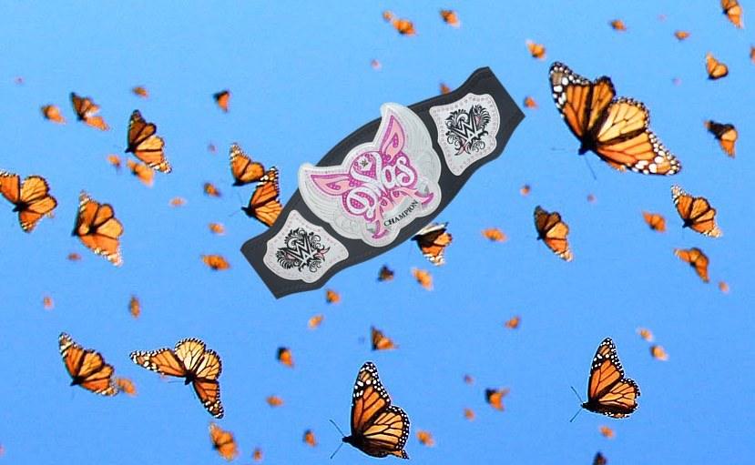 Freed from captivity, Divas Championship begins long flight back to rainforest