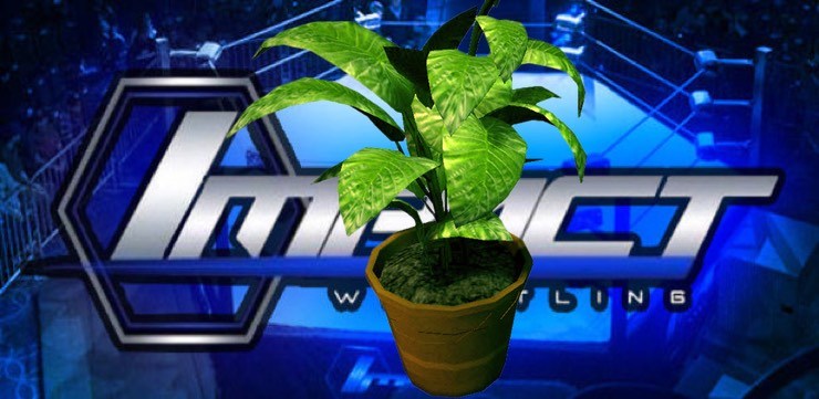 TNA signs “Mitchell”