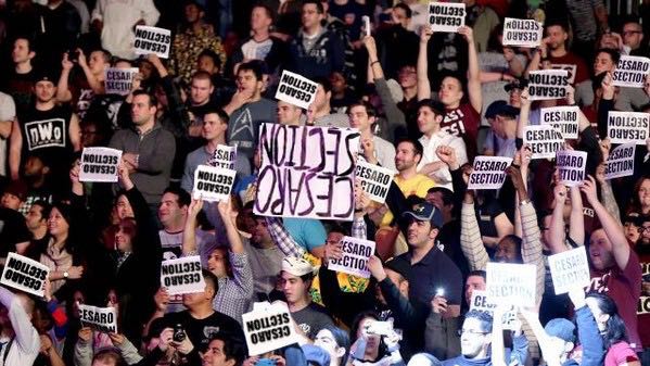 Study: 78 percent of signs in wrestling audience held upside-down