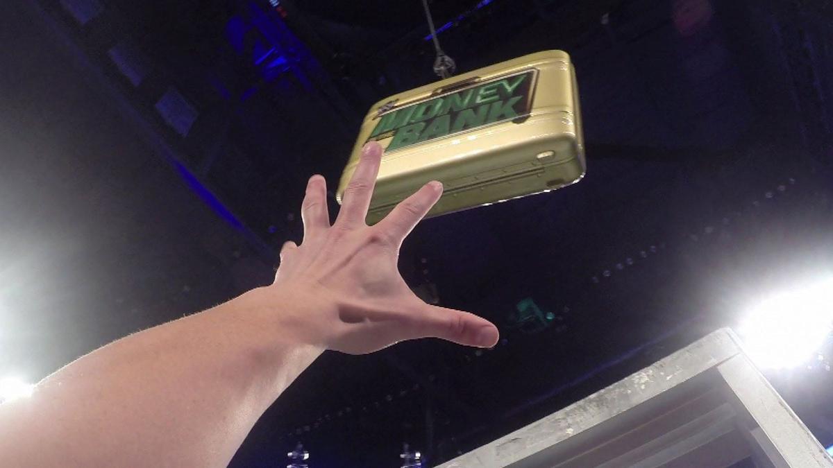 Study proves pro wrestlers climb ladders 100 times slower than average humans