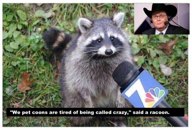 Pet coons sue Jim Ross for “slanderous characterization” of their mental health