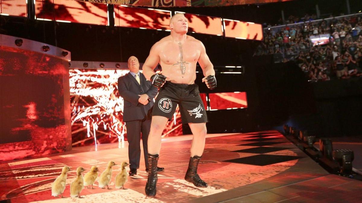 Lesnar followed everywhere by line of adorable ducklings