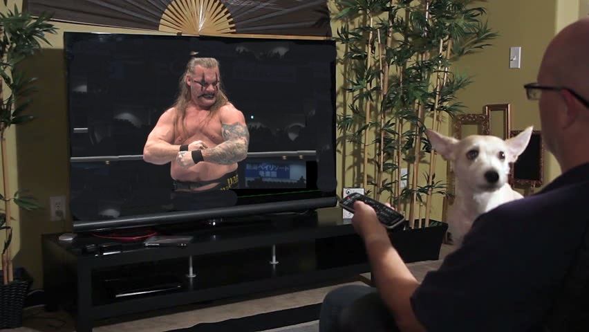 #FatJericho hashtag trends amid online body-shaming by #FatterFans