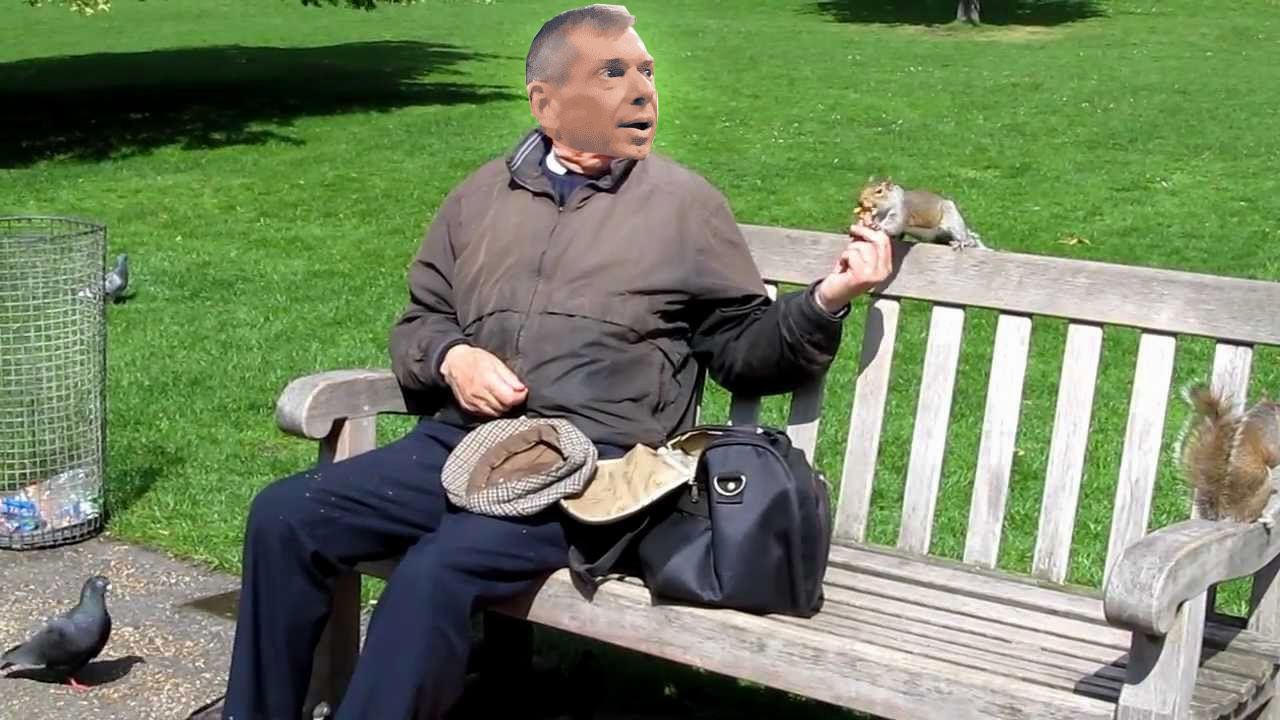 Vince McMahon reportedly spending retirement in park feeding ducks and squirrels